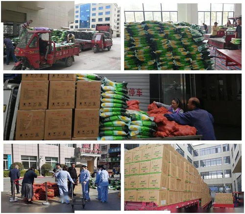 慶元9天高效派送253噸農產品，東西部消費扶貧任務圓滿完成