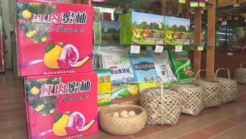 農村電商網紅助力農產品熱銷，促進農民增收致富